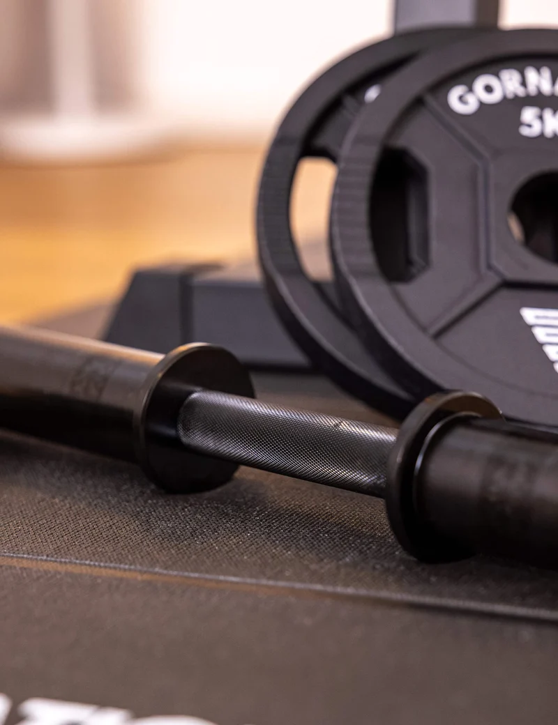 Dumbbell with Clips (Single)