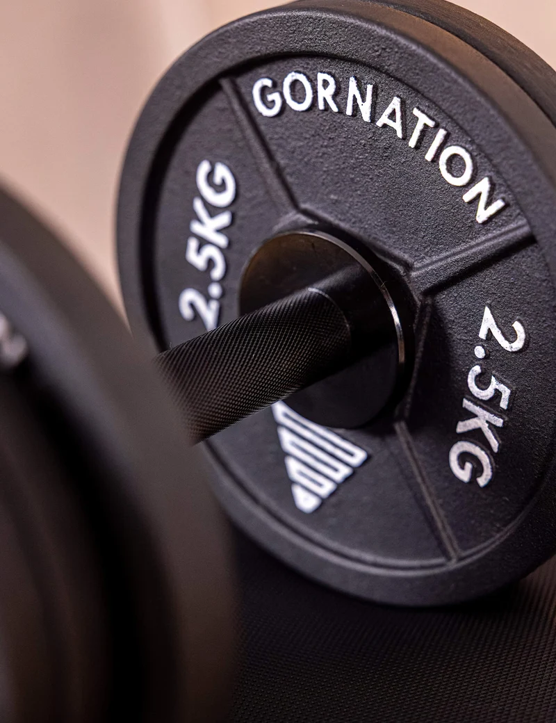 Dumbbell with Clips (Single)
