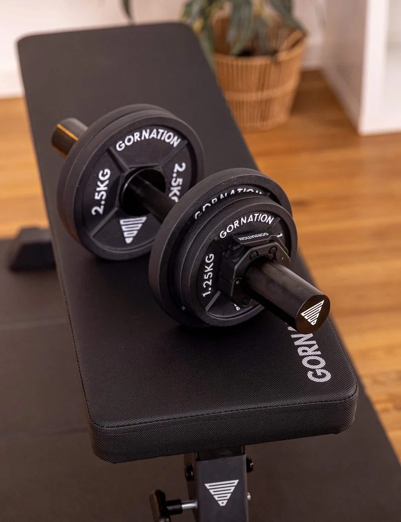 Dumbbell with Clips (Single)