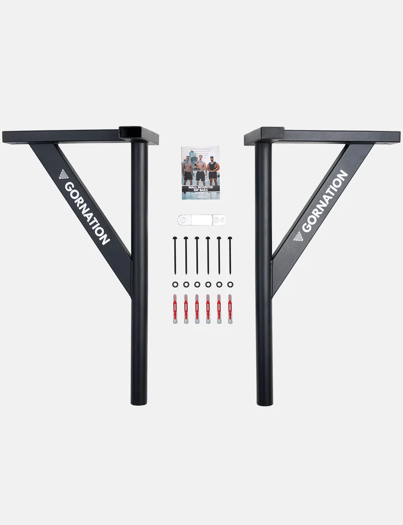 Wall Mounted Dip Bars