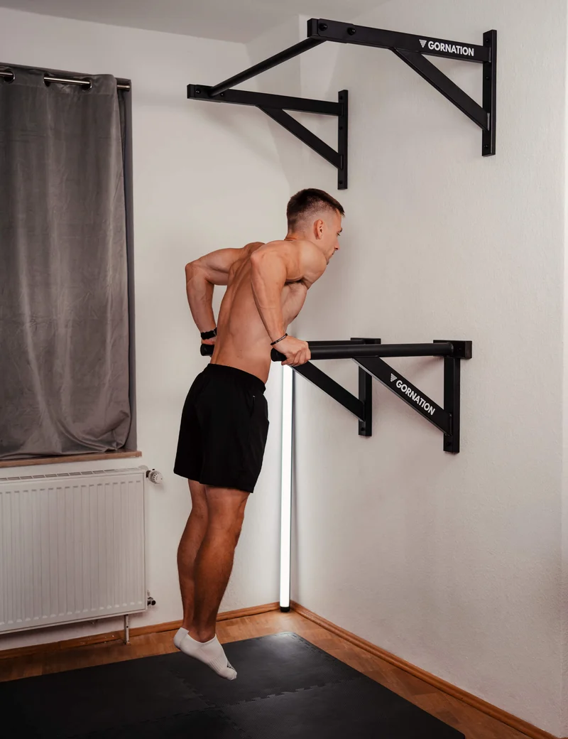 Wall Mounted Dip Bars