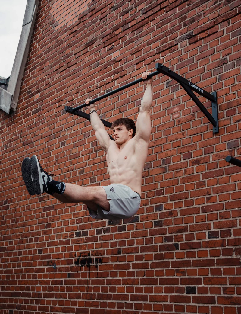 Wall Mounted Pull Up Bar Large