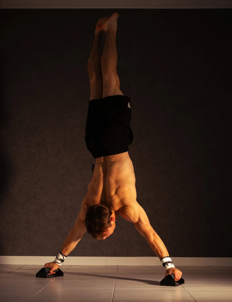 Push Up Bars