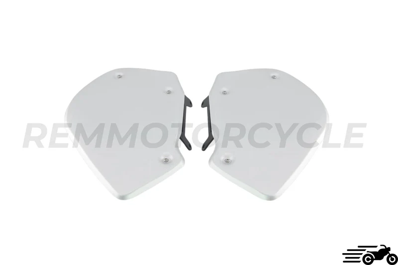 Plaque latérale aluminium BMW R Nine T