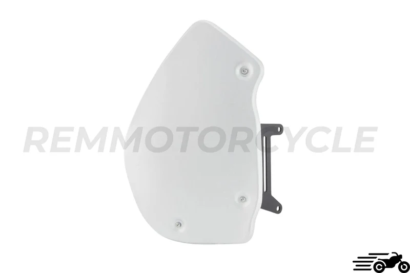 Plaque latérale aluminium BMW R Nine T