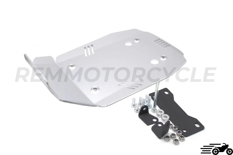 Sabot BMW R Nine T