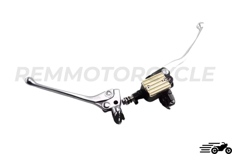 Maitre cylindre avant plus levier d'embrayage Harley Davidson Sportster