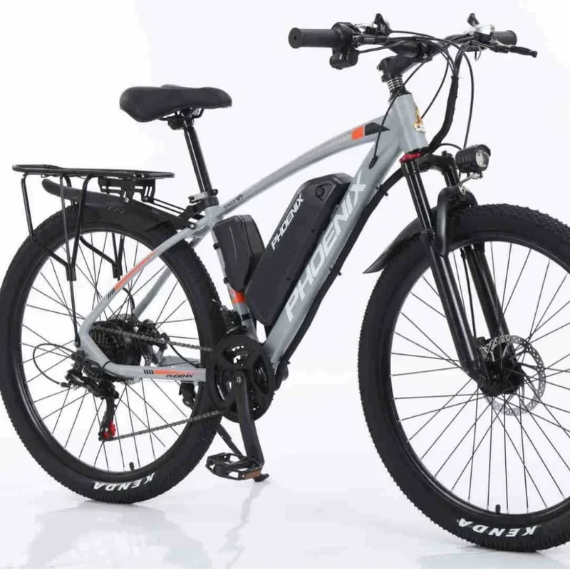 Electric Bike 1000W Motor Fat Tire Mountain Electric Bicycle Beach Snow Ebike 48V 13AH Hidden Battery Bike