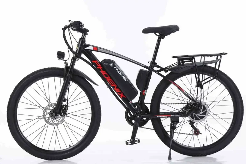 Electric Bike 1000W Motor Fat Tire Mountain Electric Bicycle Beach Snow Ebike 48V 13AH Hidden Battery Bike