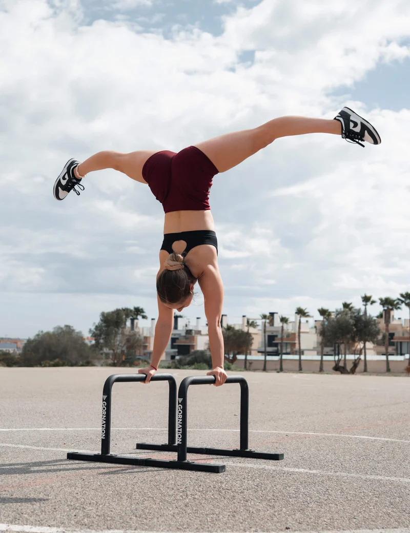Metal Parallettes