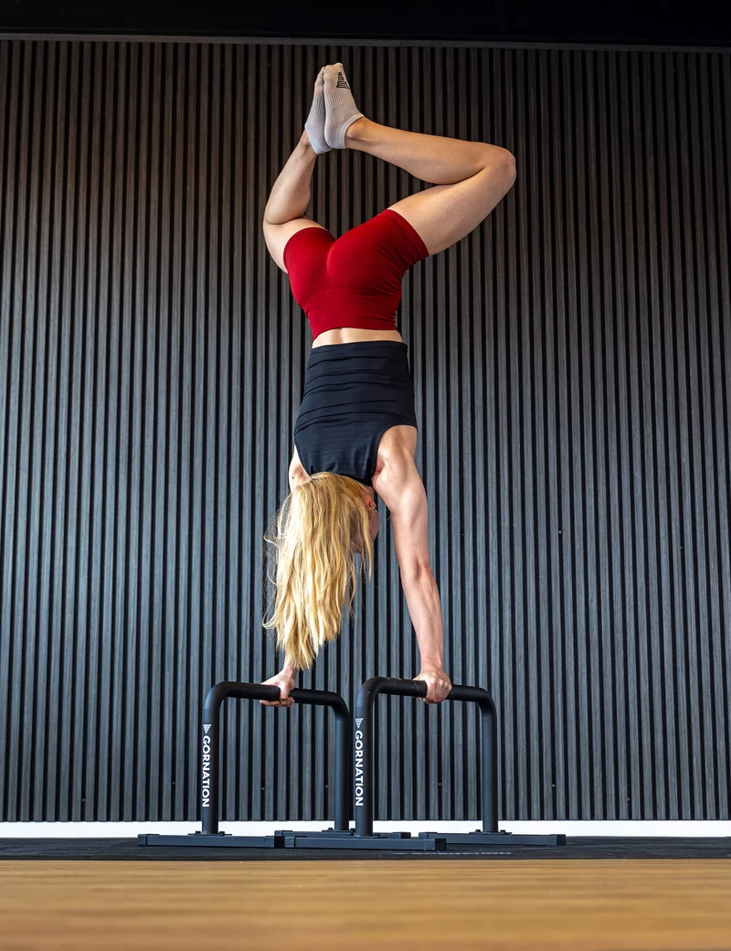 Metal Parallettes
