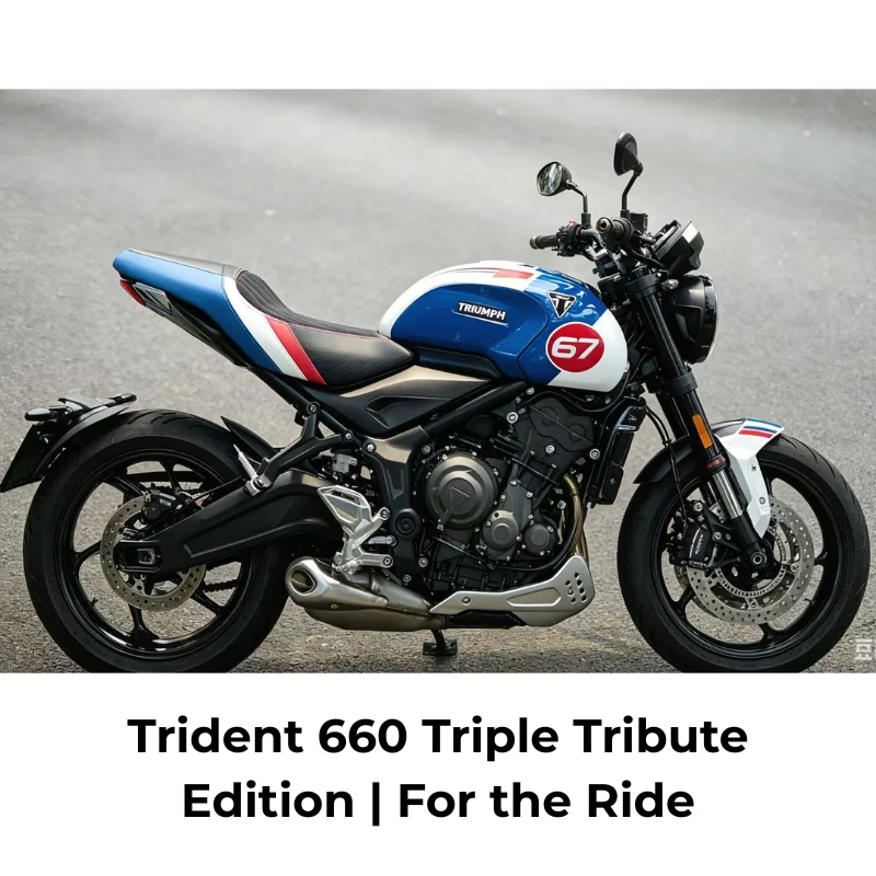 Selle custom TRIUMPH Trident 660
