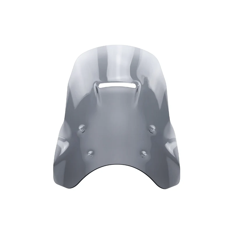 Pare-brise haut 49 cm - BMW R1300GS/ADV