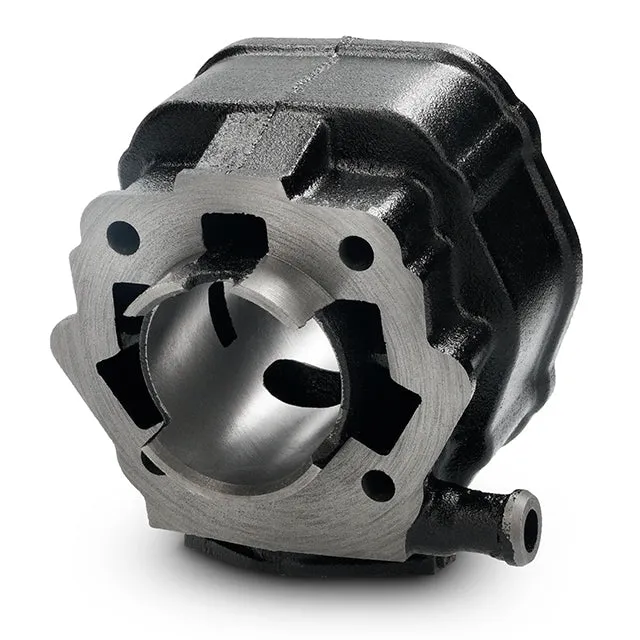 Cilindro AllPro Iron 70cc Derbi euro 2