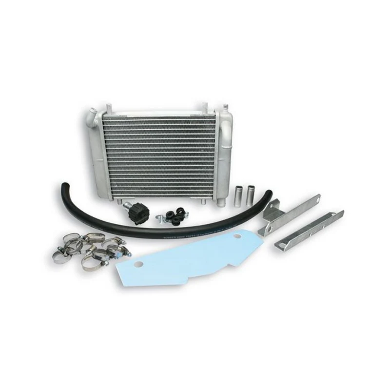 Radiateur Malossi Piaggio Zip SP H2O