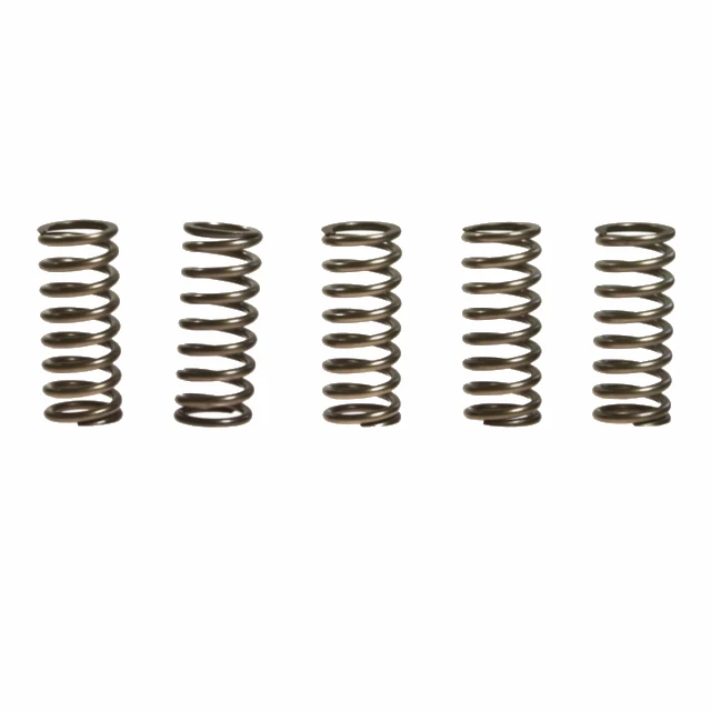 Muelles de embrague Honda CBR 600 R EBC
