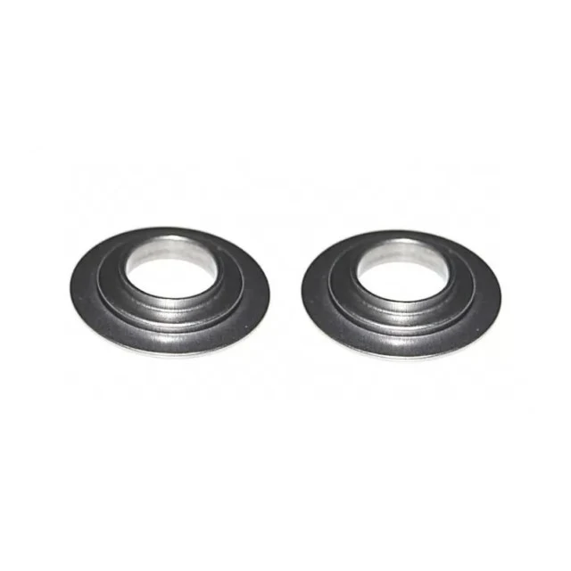 Asiento de muelle de válvula motor ZS190 Zongshen 2 ud. Pitbike AllPro