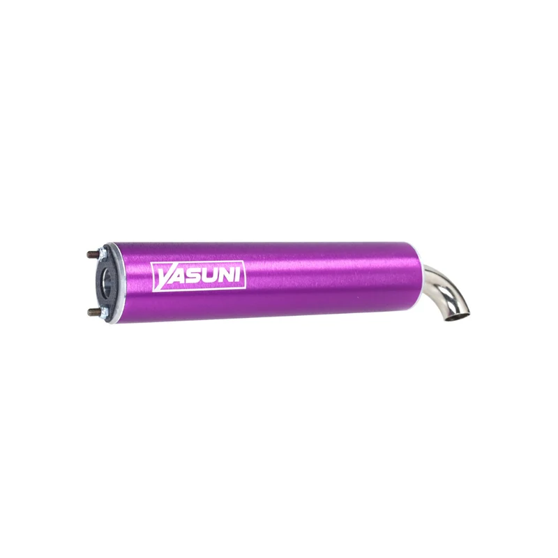 Yasuni c16 piaggio 2 coup violet