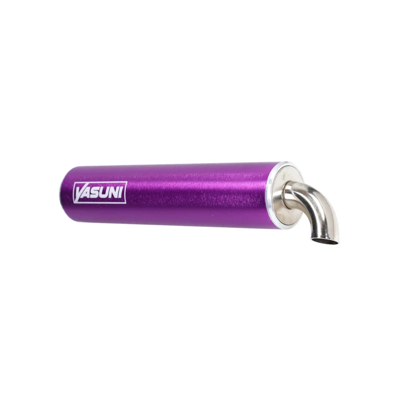 Yasuni c16 piaggio 2 coup violet
