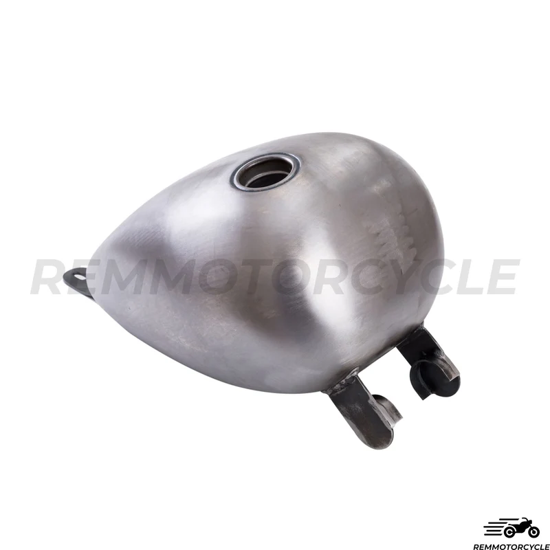 Reservoir Virago 125 et 250 Bobber