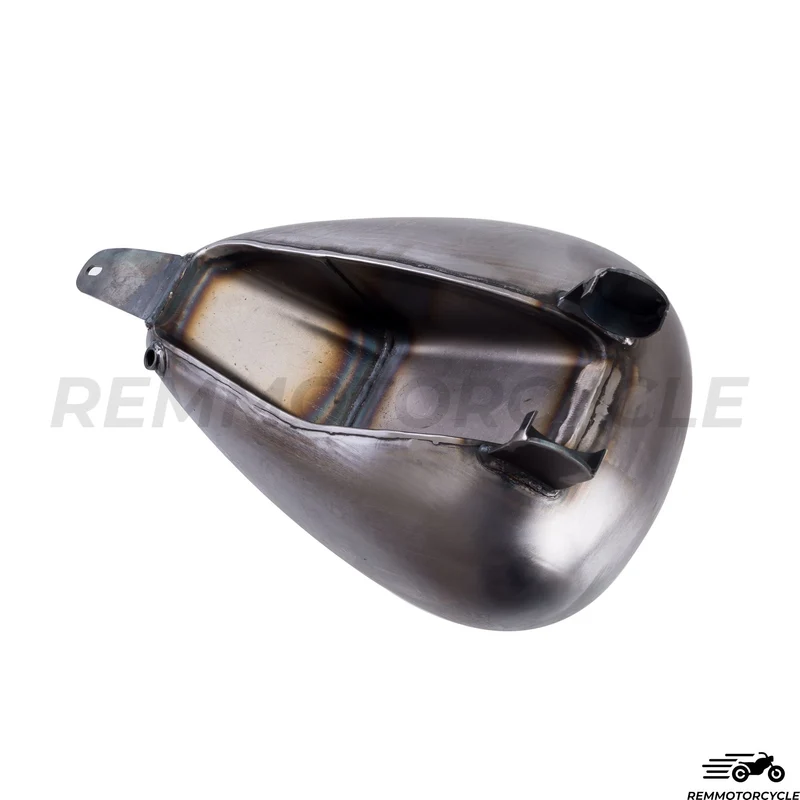 Reservoir Virago 125 et 250 Bobber