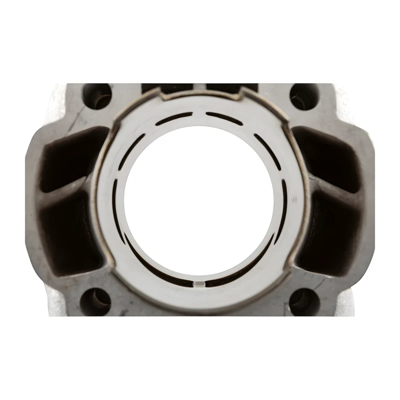 Cilindro Polini Evolution 3 70cc Minarelli horizontal LC bulón 12mm