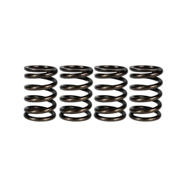 Muelles de embrague Pitbike reforzados Daytona