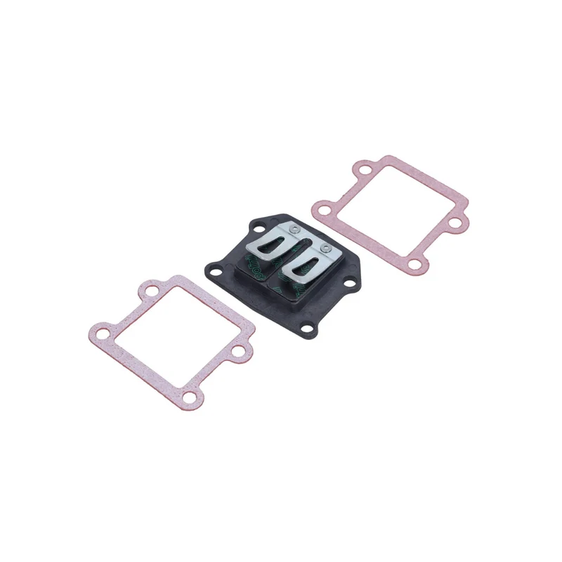 Polini Membrane Minarelli Horizontal 50cc 2 Temps