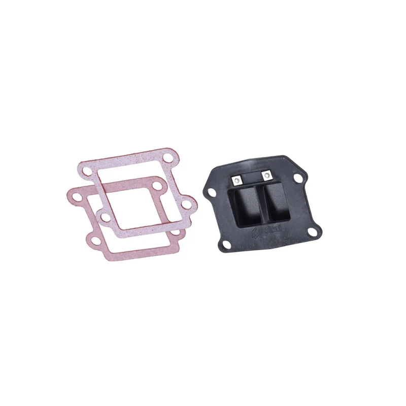 Polini Membrane Minarelli Horizontal 50cc 2 Temps