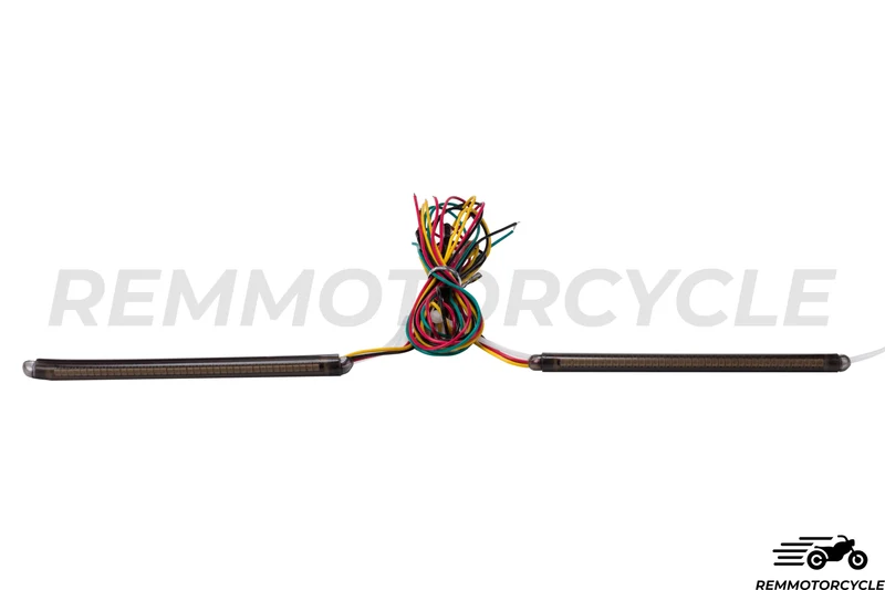 Paire de Clignotants LED avec feu arrière pour Amortisseurs