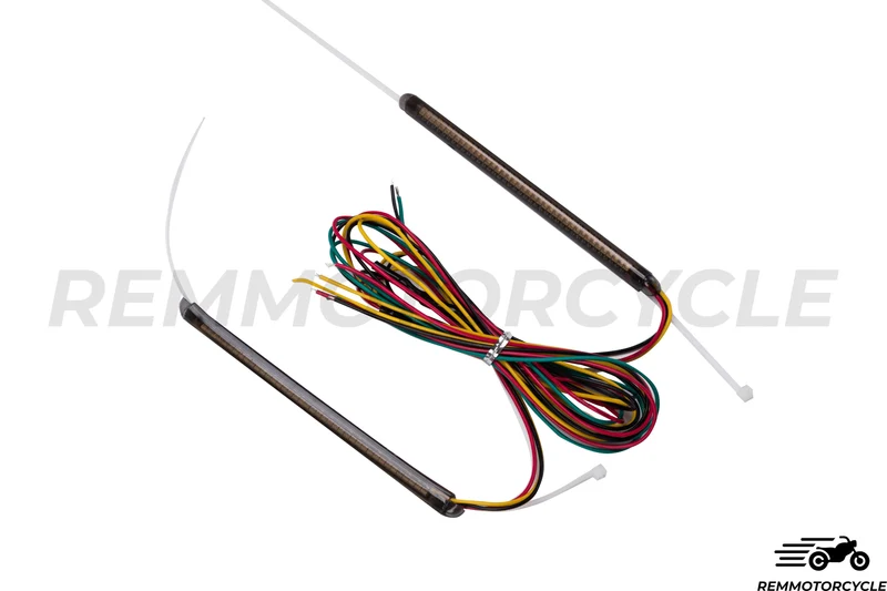 Paire de Clignotants LED avec feu arrière pour Amortisseurs