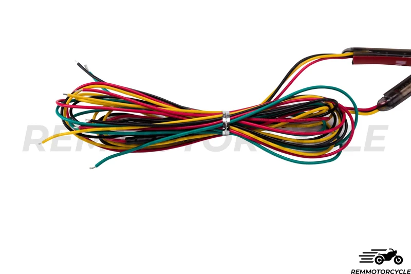 Paire de Clignotants LED avec feu arrière pour Amortisseurs