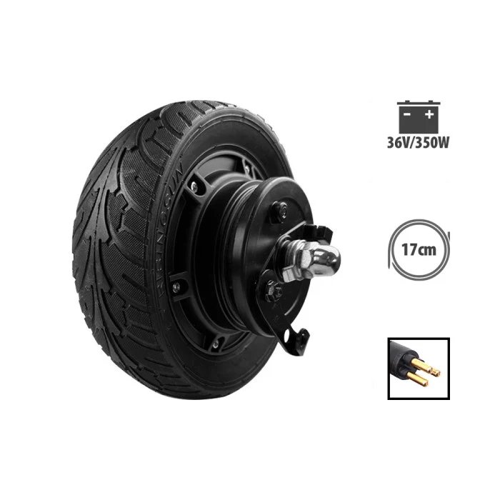 Moteur 36V 350W pour Z8
