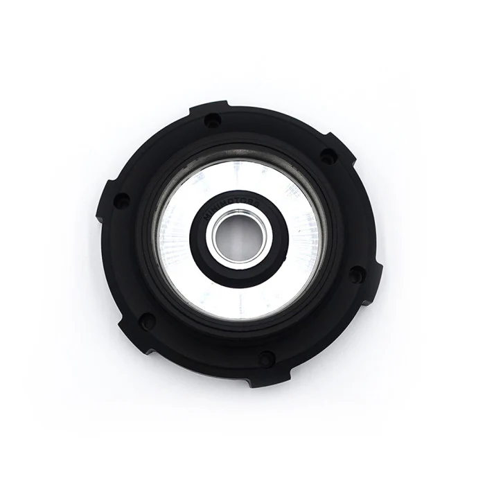 Flasque moteur Dualtron Mini coté tambour