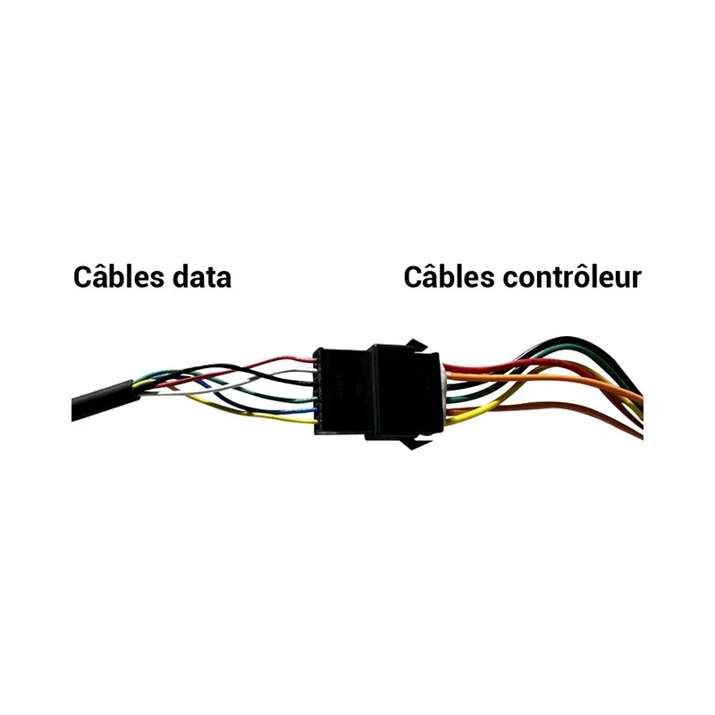 Kit controleur display câble Liviae 36V 15A