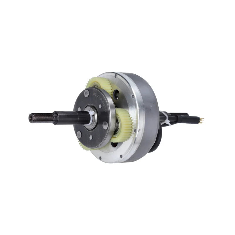 Moteur interne de roue arrière 48V 250W, prise noire V8/V20 Fatbike