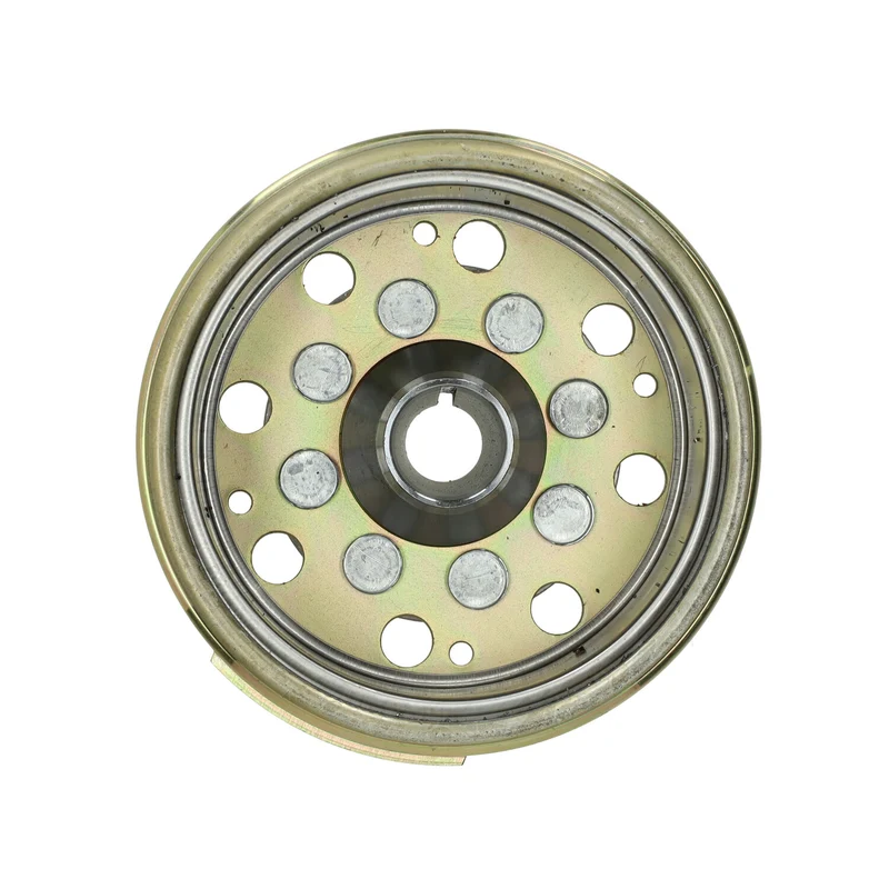 Allumage & Volant Moteur Piaggio / Gilera 125-180cc 2 Temps LC