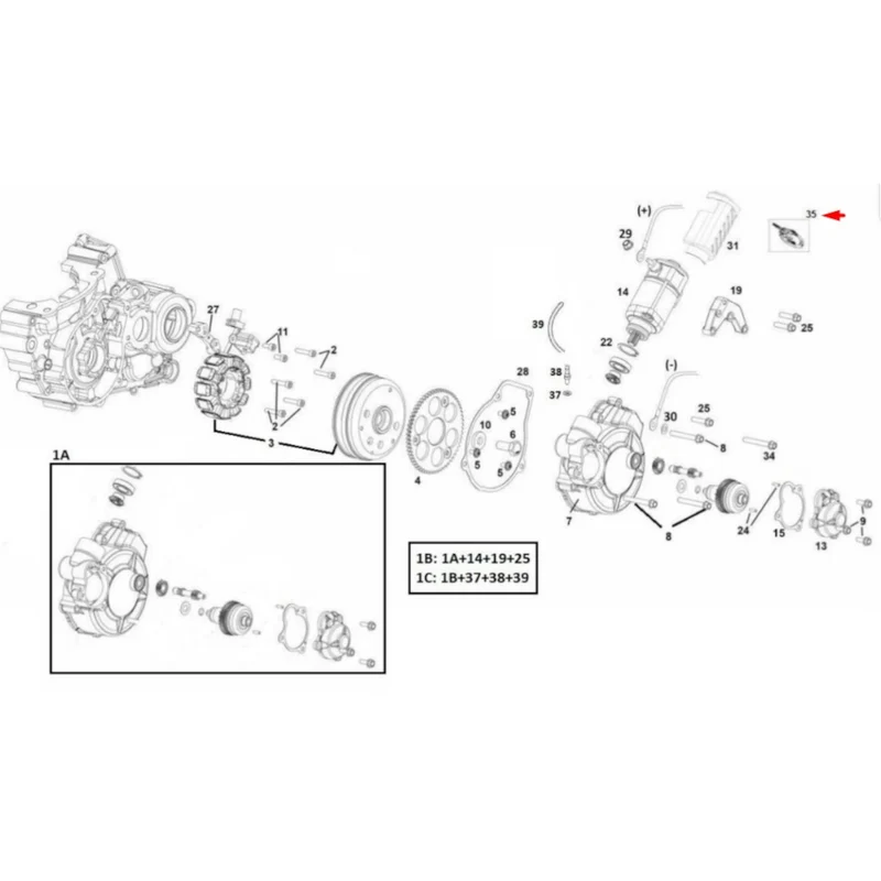 Escobillas motor de arranque Rieju MR 300 21-25