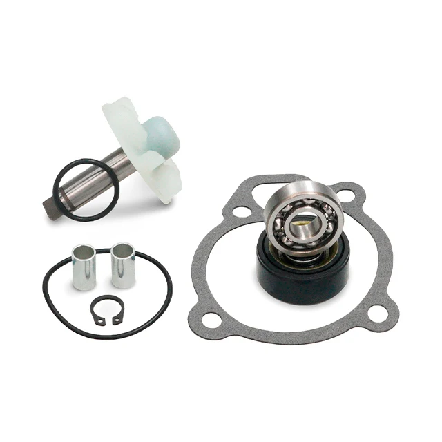 Kit reparación bomba de agua Yamaha N-Max 125 17-20 AllPro
