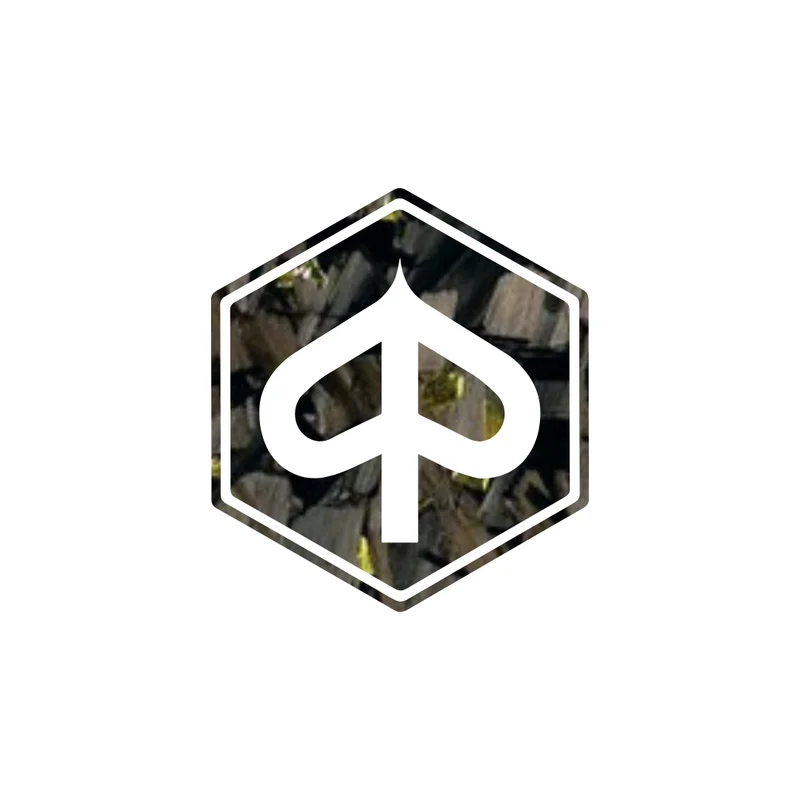 3d pré-chap logo piaggio carbone forgé