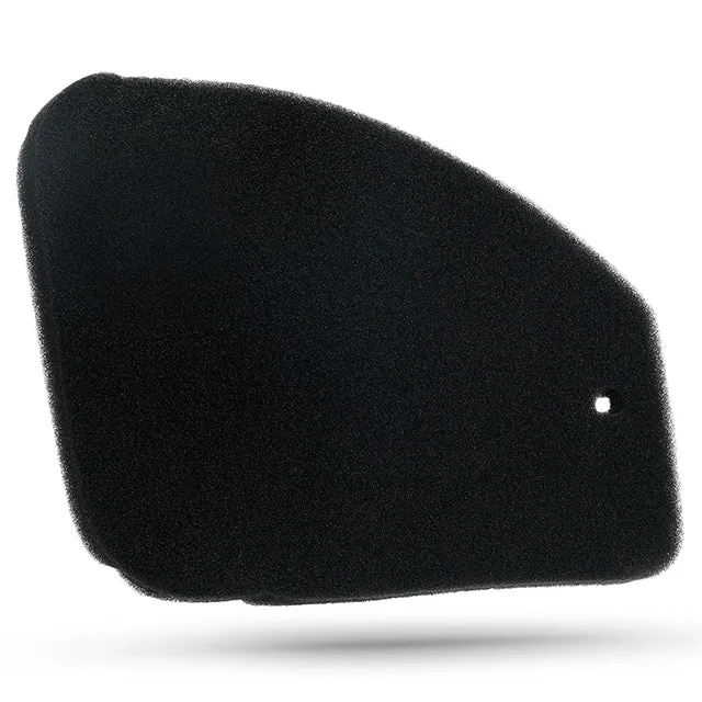 Esponja filtro de aire Peugeot Speedfight 1/2 / Trekker / Vivacity AllPro