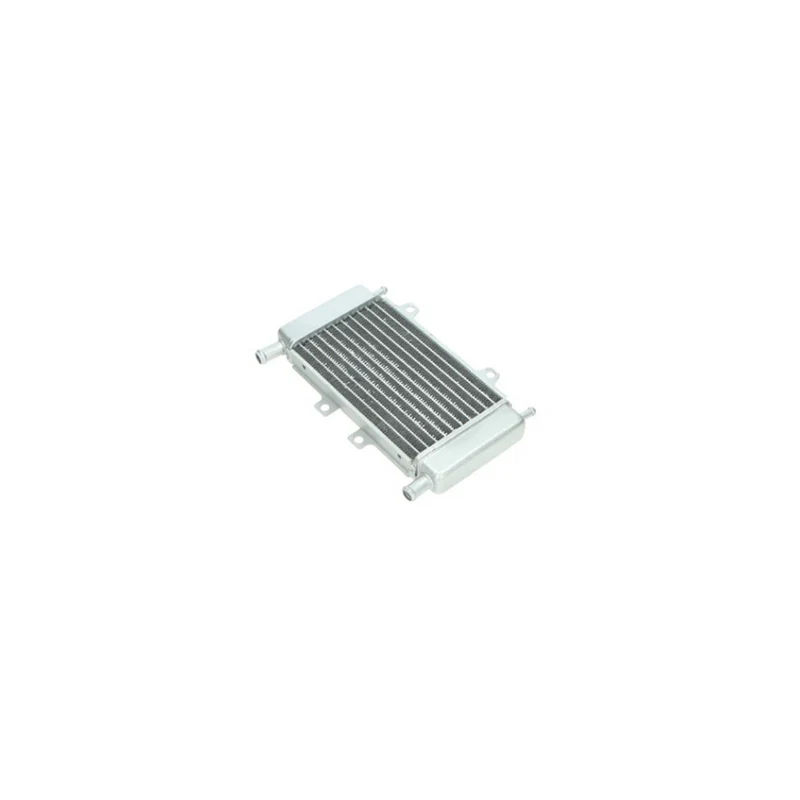 Radiateur Piaggio Zip SP / Gilera Runner 50cc 2 temps