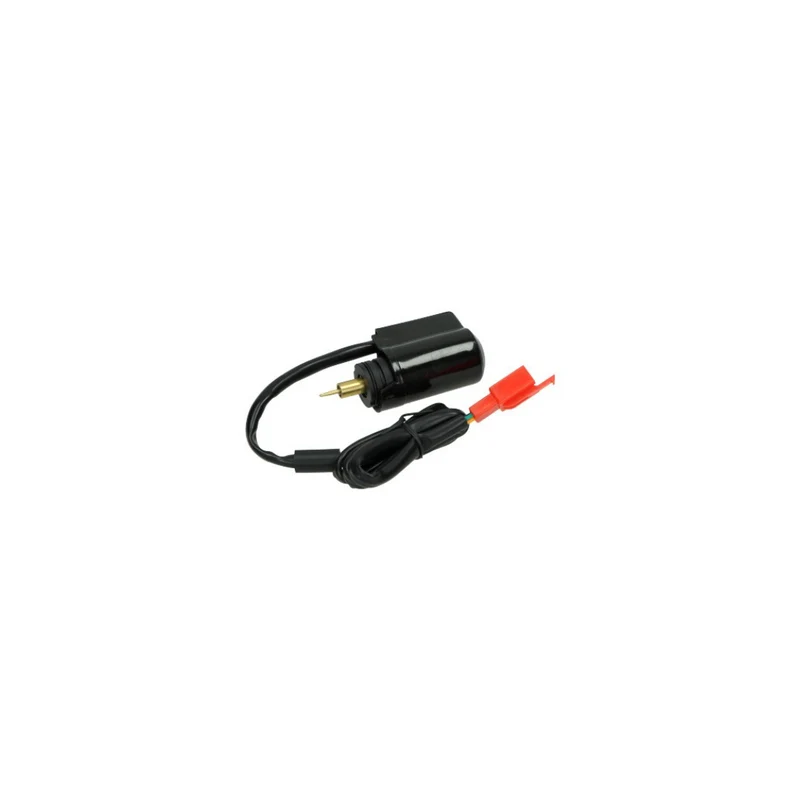 Starter électrique pour carburateur