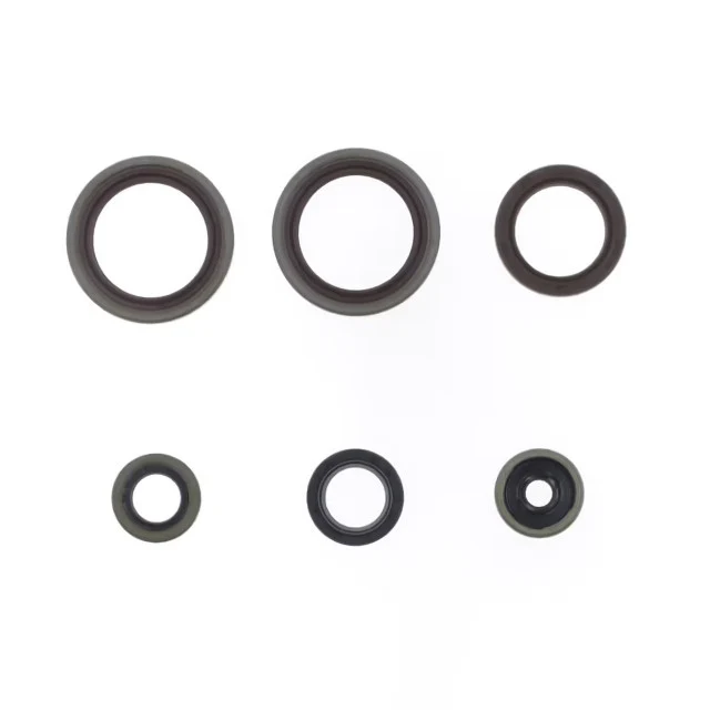 Kit retenes motor Beta RR 125 2T 18-25 Athena