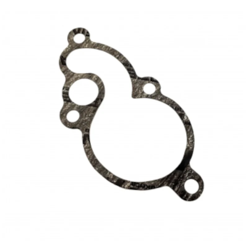Junta tapa bomba agua Gas Gas EC 125-250-300