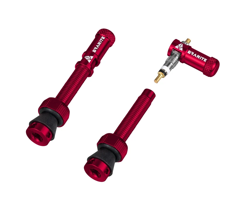 Paire de valves (44mm) + bouchons valve Granite CNC/démonte obus Juicy Nipples