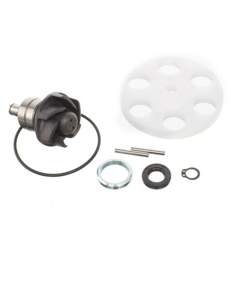 Kit pompe à eau