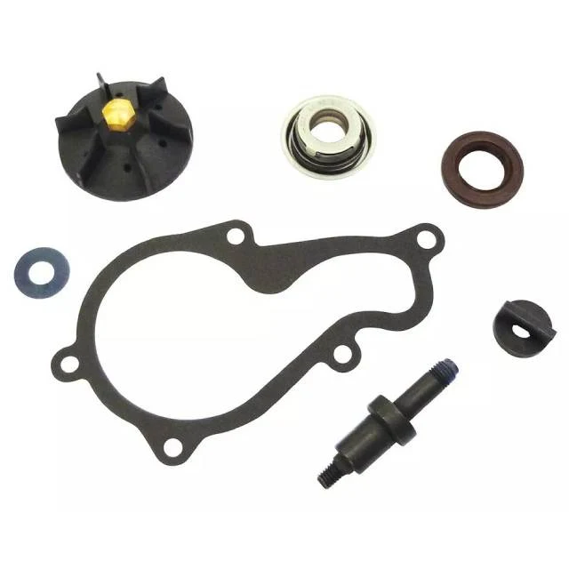 Kit reparación bomba de agua Piaggio MP3 / X10 / Beverly 350 DR