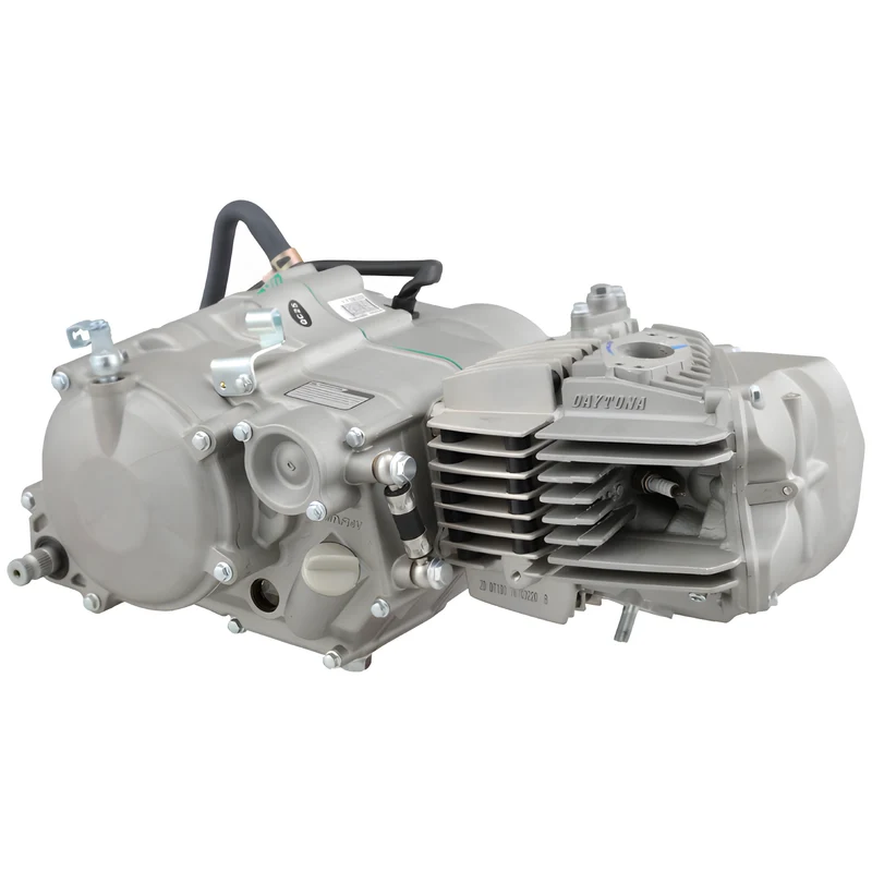 Motor Pitbike Daytona Anima 190SYS