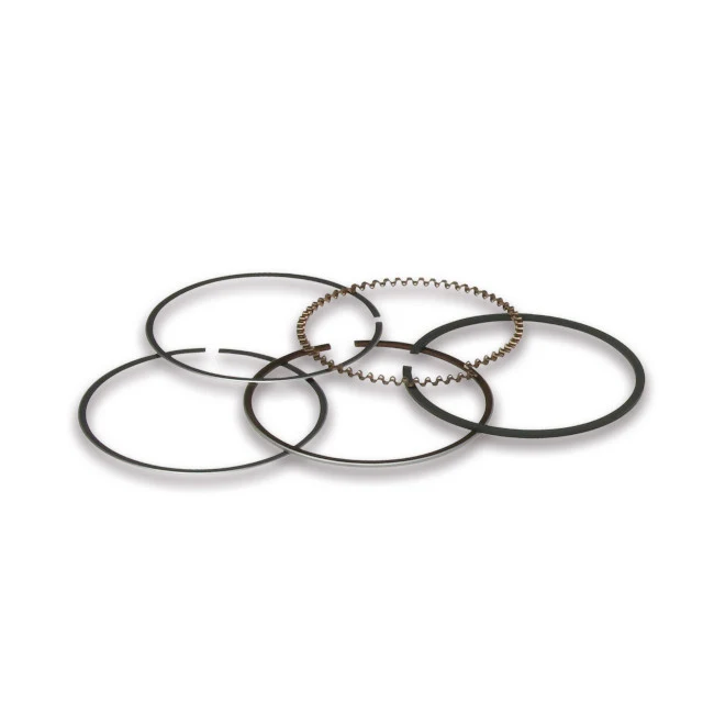 Segmentos Malossi d=49mm